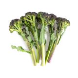 Organic Baby Purple Broccolette