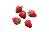 WOW Berries Dreamberry Strawberries