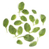 Organic Baby Spinach