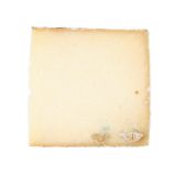 Mystic Cheese Cachalot