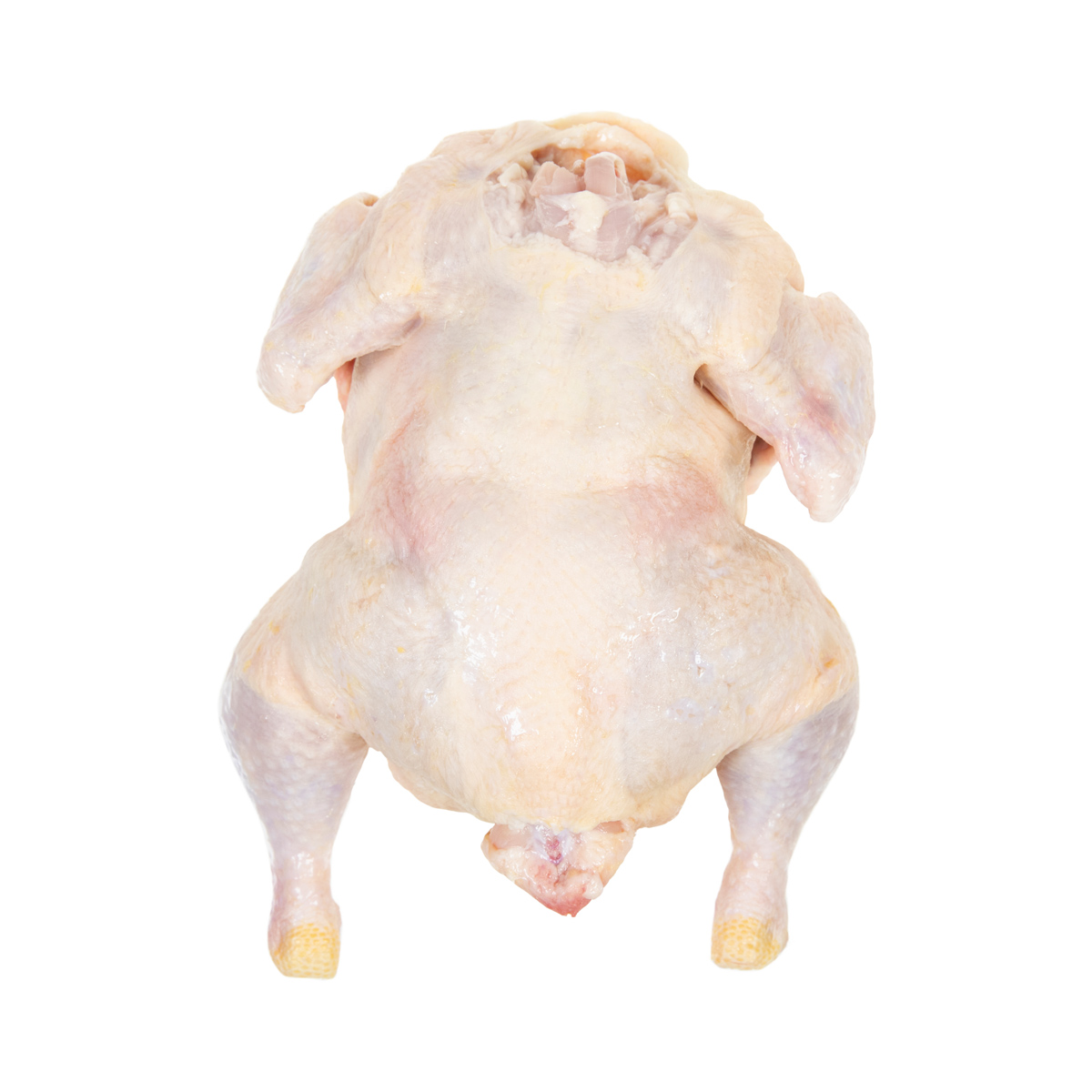 Whole Chicken No Giblets 3 LB Chicken Whole Baldor Specialty Foods