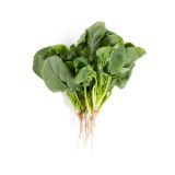 Local Bunched Spinach