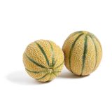 Golden Kiss Melons