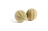 Tuscan Cantaloupe Melons