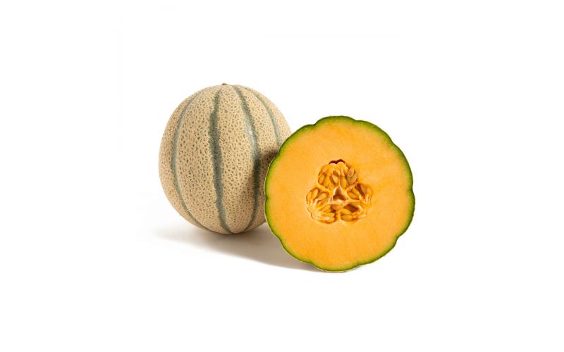 Tuscan Cantaloupe Melons