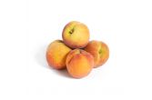Eastern Yellow Peaches
