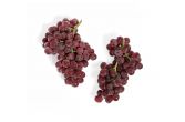 Organic Gummy Berries Candy Snap Grapes