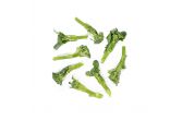 Organic Sprouting Broccoli
