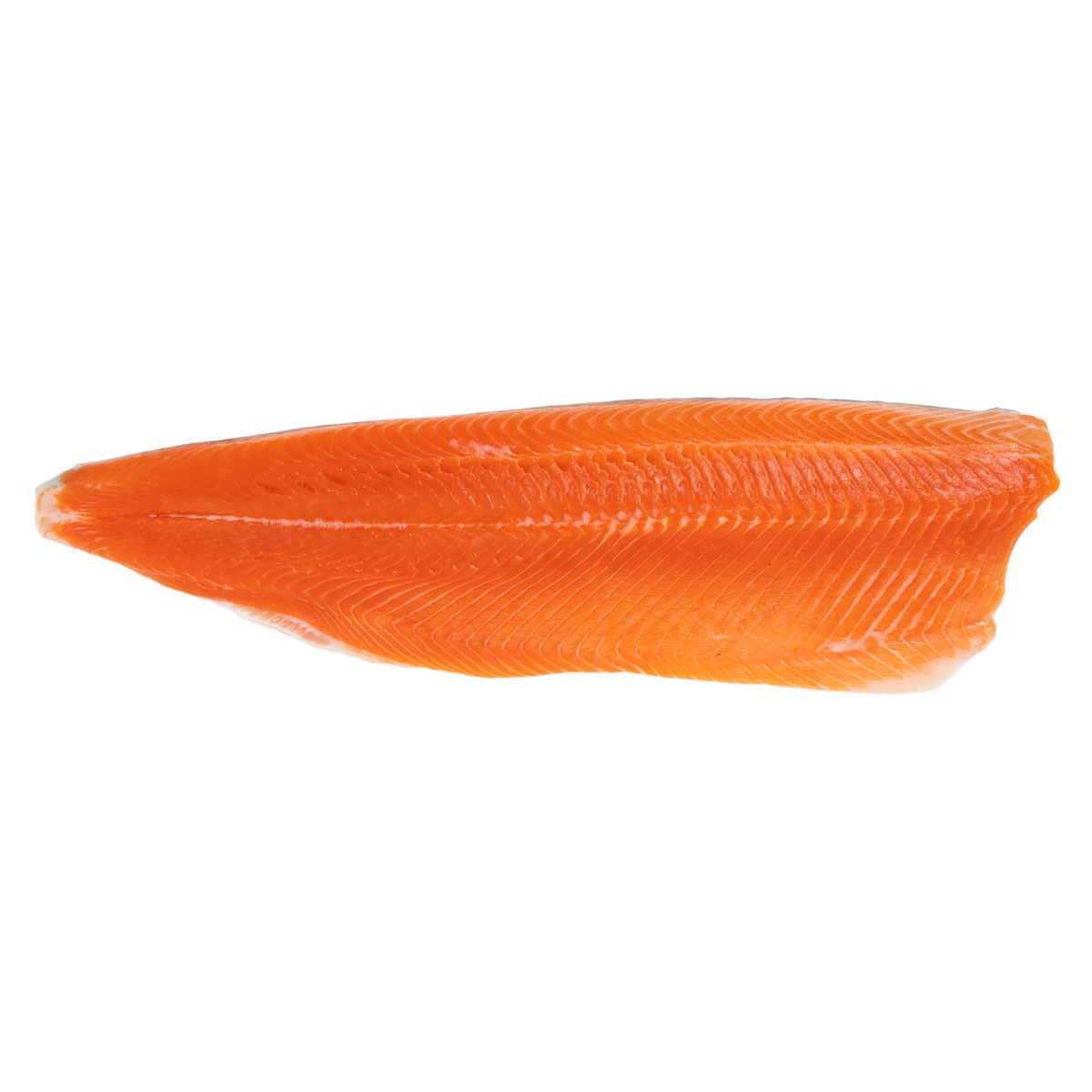 Farm Raised PBO Arctic Char Side | Artic Char | Baldor Specialty Foods