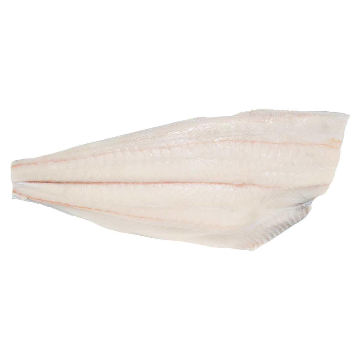 Wild Caught Halibut Side Halibut Baldor Specialty Foods