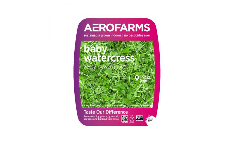 Baby Watercress