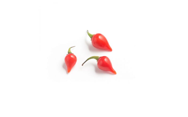 Organic Biquinho Red Peppers