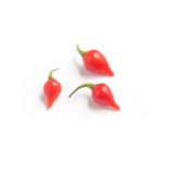Organic Biquinho Red Peppers