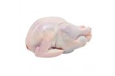 ABF Heritage Black Turkey 16-21 LB