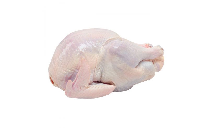 ABF Heritage Black Turkey 16-21 LB