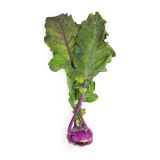 Organic Purple Kohlrabi