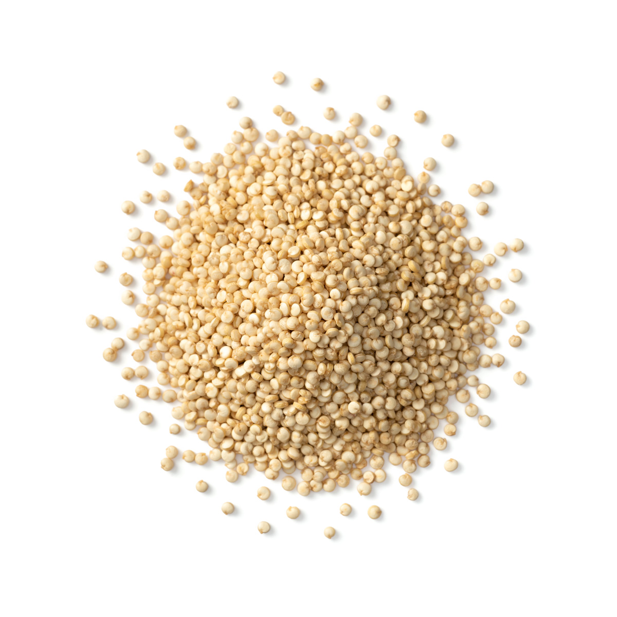 Organic White Quinoa Grains Baldor Specialty Foods