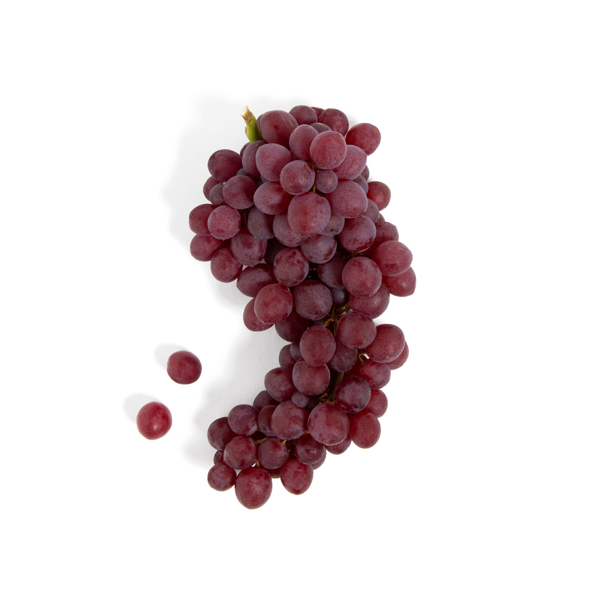 Candy Snap Grapes Red Grapes Baldor Specialty Foods
