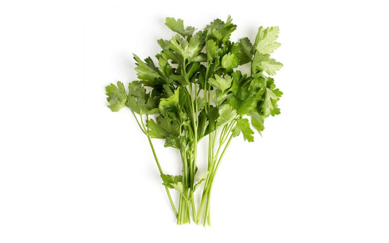 Organic Italian Parsley
