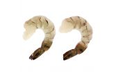 Frozen Peeled & Deveined Shrimp Tail On 8-12