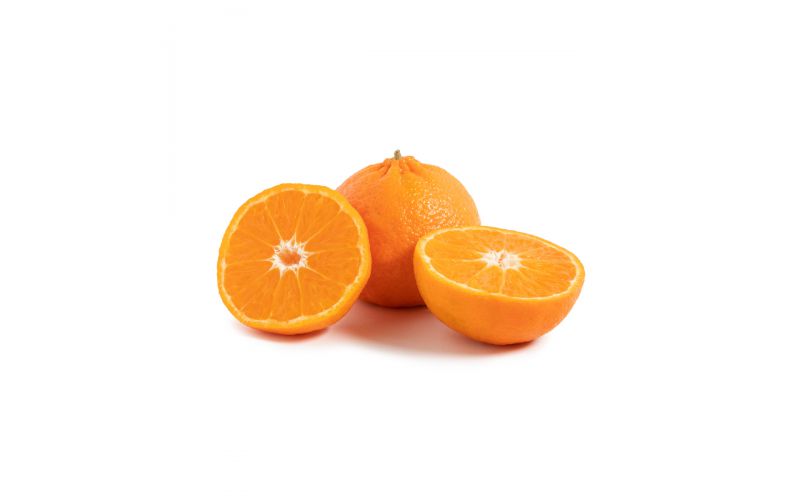 Golden Nugget Tangerine