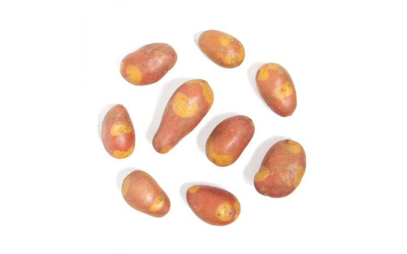 Organic Pinto Potatoes