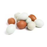 Medium Free Range Heritage Eggs