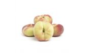 White Donut Peaches