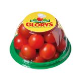 Glorys Cherry Tomatoes