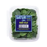 Green Baby Kale