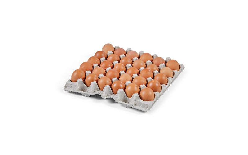 Pasture-Raised Medium Shell Eggs