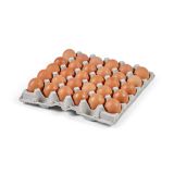 Pasture-Raised Extra Large Shell Eggs