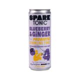Blueberry & Ginger Tonic Soda