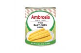 Canned Whole Baby Corn