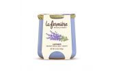 Lavender Yogurt