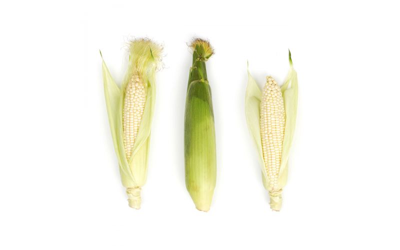 Retail Tray White Corn