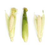 Retail Tray White Corn
