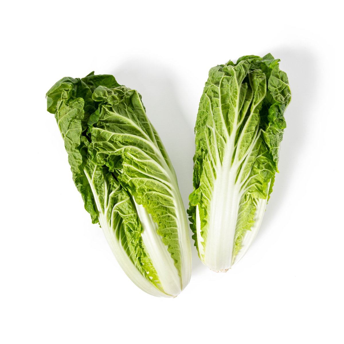 Napa Cabbage Hearts Cabbage Other Baldor Specialty Foods