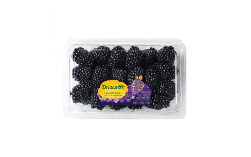 Limited Edition Sweetest Batch Blackberries