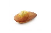 Pure Butter Madeleine
