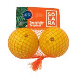 Solara Mini Galia Melons