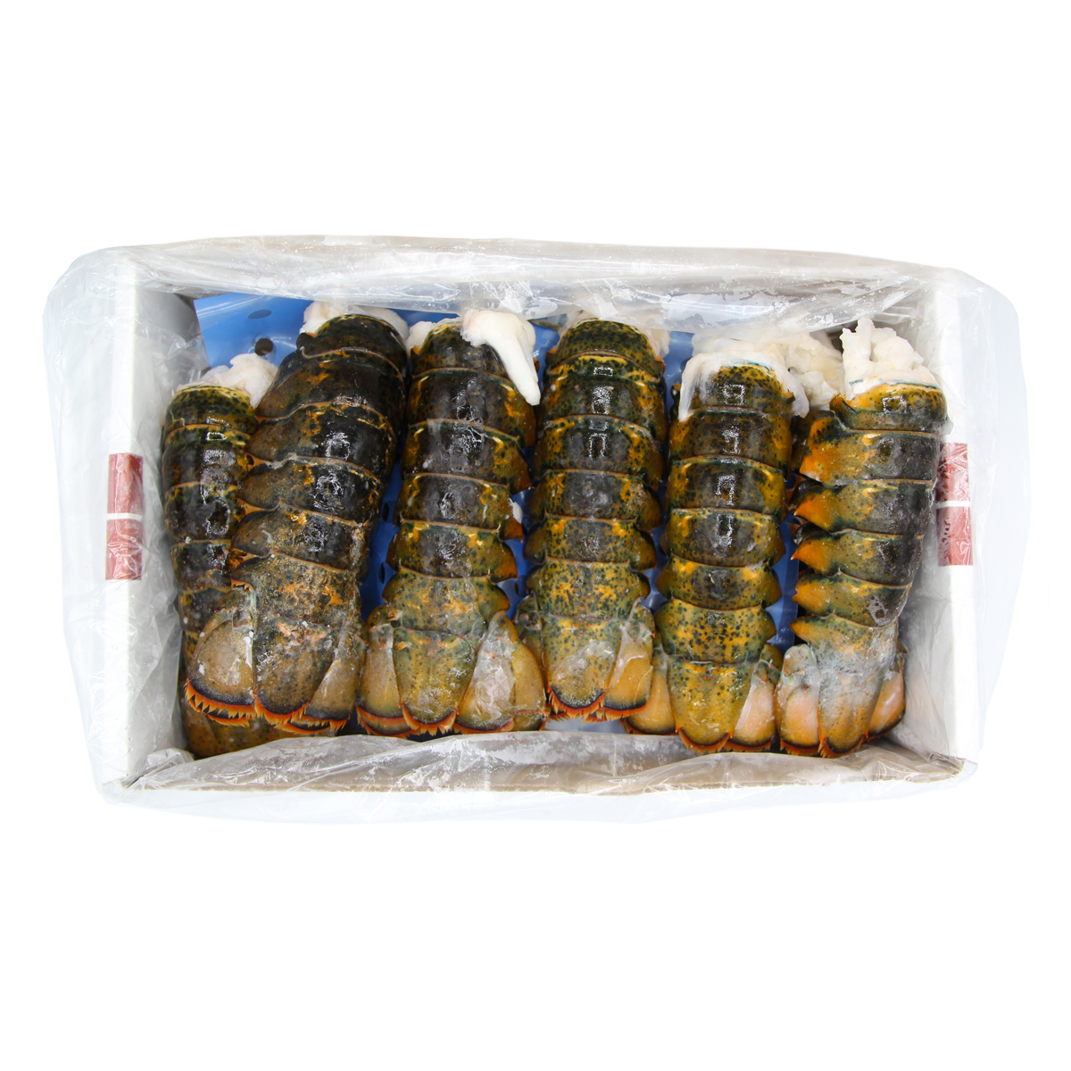 Frozen Lobster Tails 56 OZ Lobster Baldor Specialty Foods
