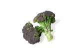 Organic Purple Broccoli