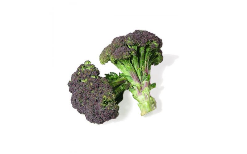 Organic Purple Broccoli