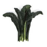 Kale Tuscan