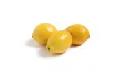 Seedless Choice Lemons