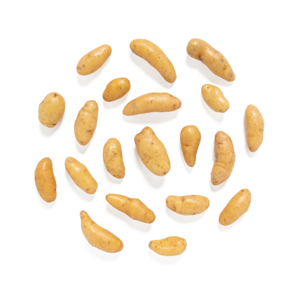 Russian Fingerling Potatoes Fingerling Potatoes Baldor Specialty Foods