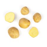 German Butterball Potatoes