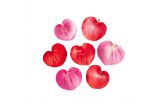 Edible Begonia Flowers Valentines Hearts