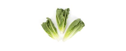Organic Romaine Hearts